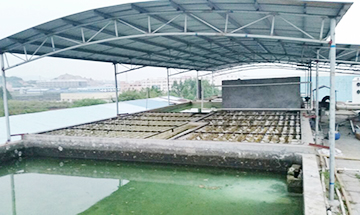 工業廢水治理實地考察與污染參數