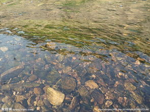 污水處理技術之工業污水水處理方法